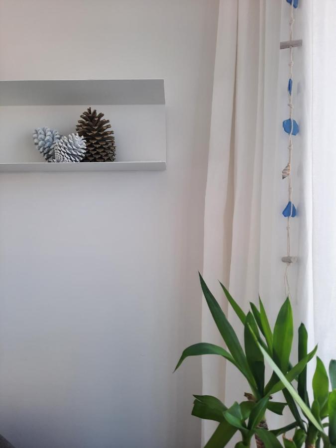 Sitius 5B - New Seaview Apartment With Rooftop Terrace In Historical Centre Sitio Da Nazaré Exterior photo