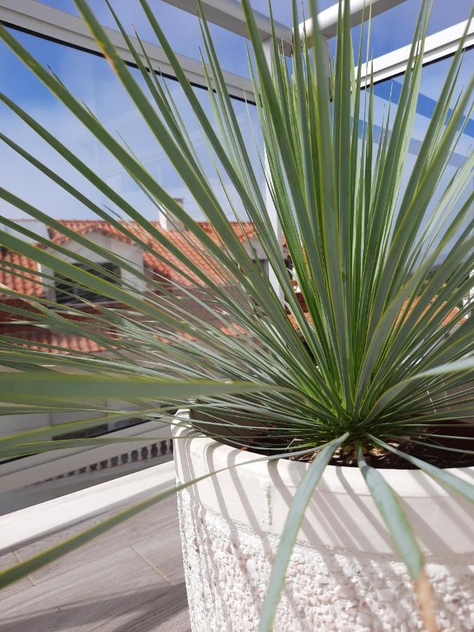 Sitius 5B - New Seaview Apartment With Rooftop Terrace In Historical Centre Sitio Da Nazaré Exterior photo